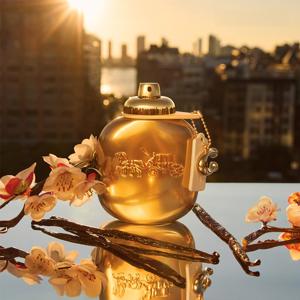 Coach Gold Gift Set: Parfum 50ml + Travel Spray 7.5ml